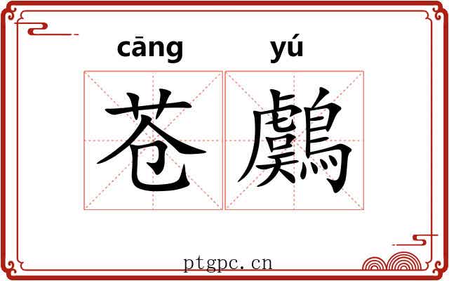 苍鸆