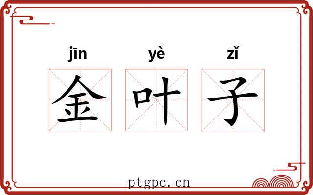 金叶子 金叶子