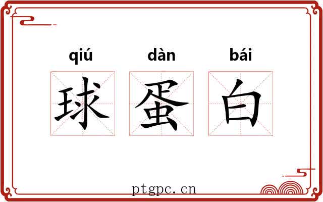 球蛋白 球蛋白