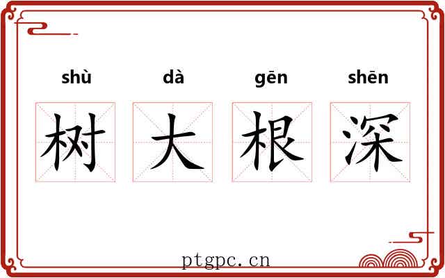 树大根深 树大根深