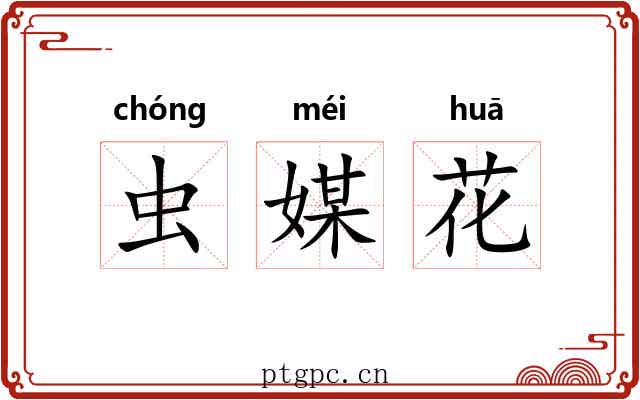 虫媒花 虫媒花