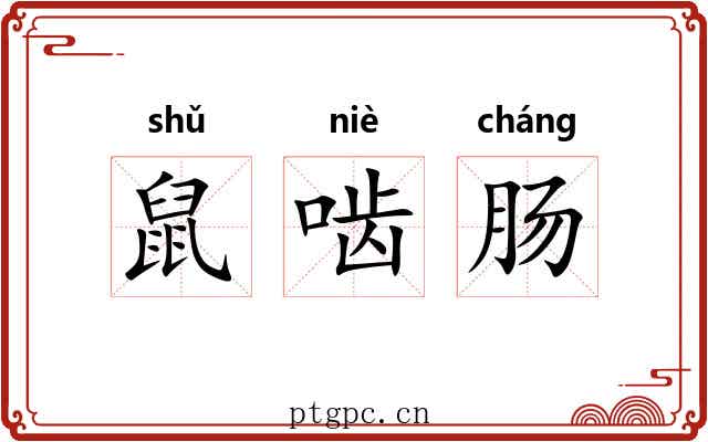 鼠啮肠 鼠啮肠