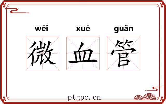 微血管 微血管