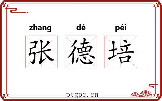 张德培 张德培