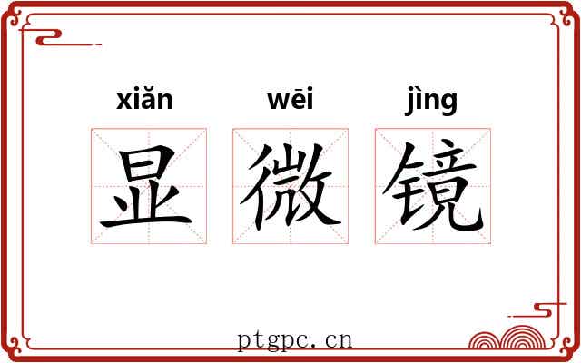 显微镜 显微镜
