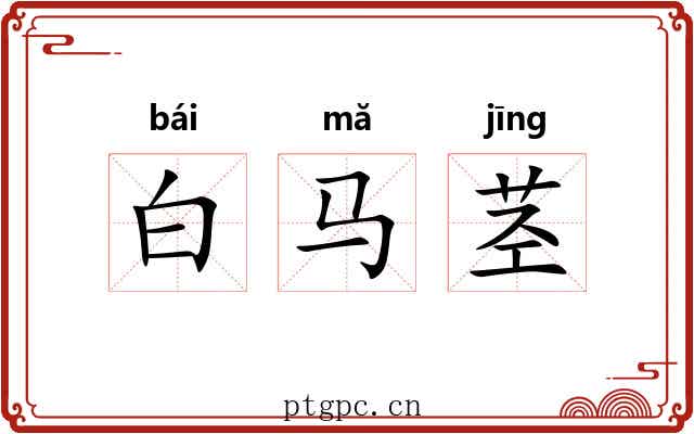 白马茎