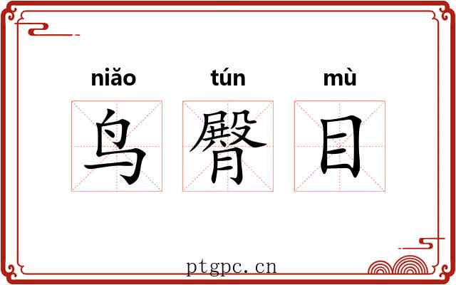 鸟臀目