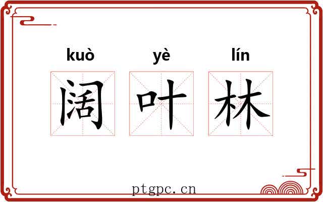 阔叶林 阔叶林