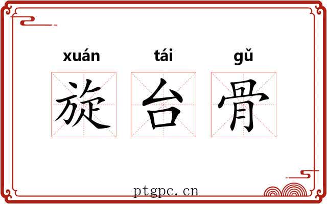 旋台骨 旋台骨