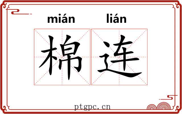 棉连 棉连