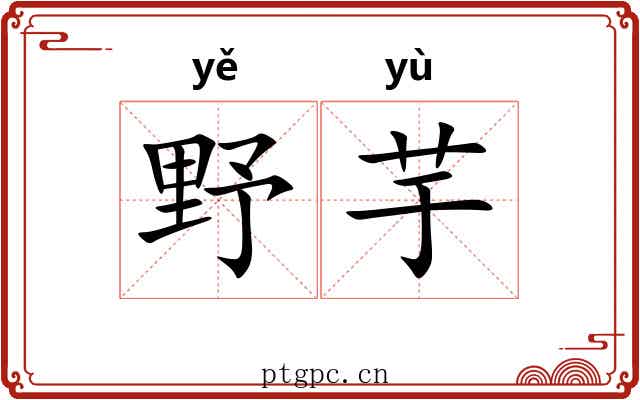 野芋