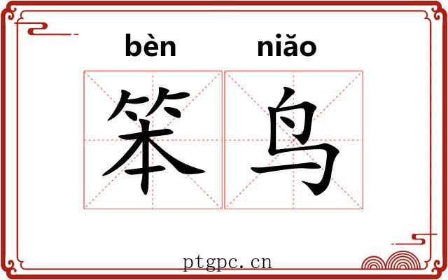 笨鸟