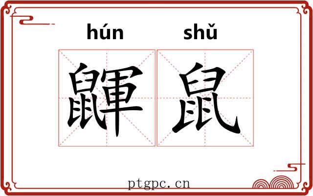 鼲鼠