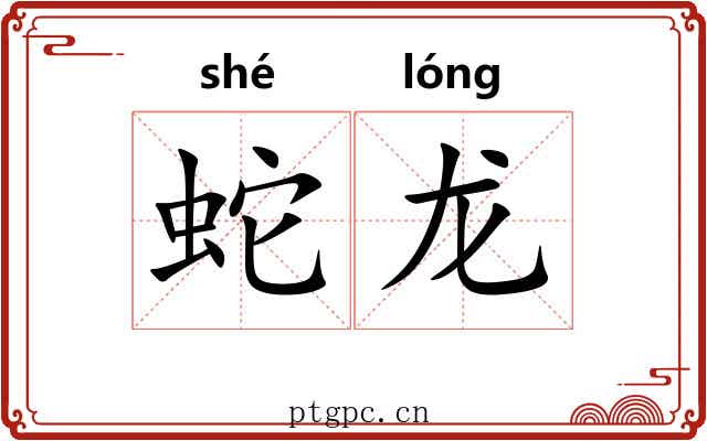 蛇龙 蛇龙