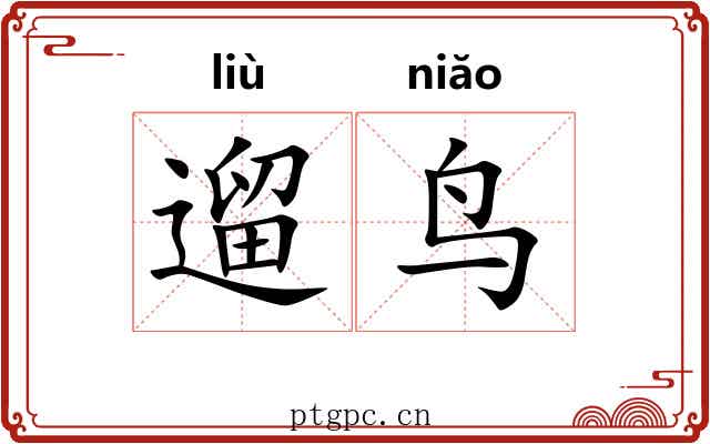 遛鸟
