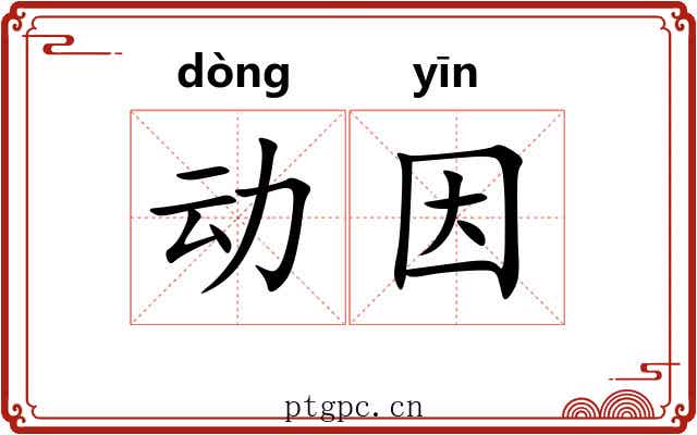 动因 动因