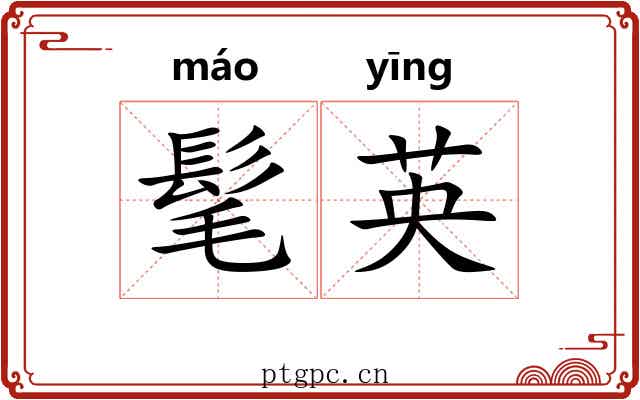 髦英