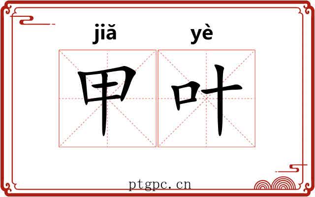 甲叶 甲叶