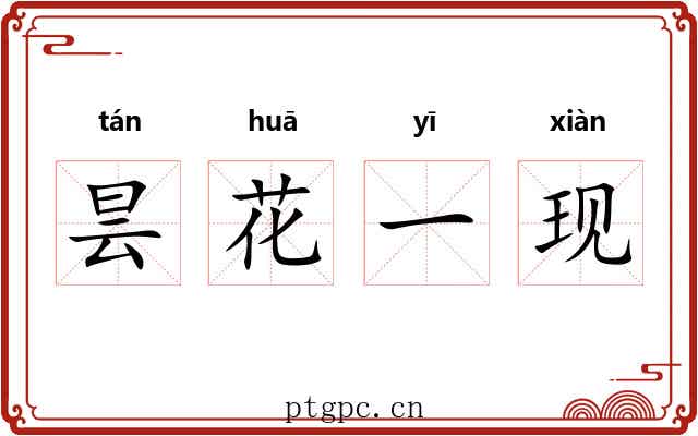昙花一现 昙花一现
