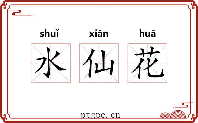 水仙花 水仙花