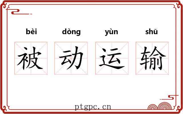 被动运输 被动运输