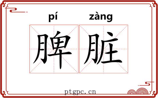 脾脏