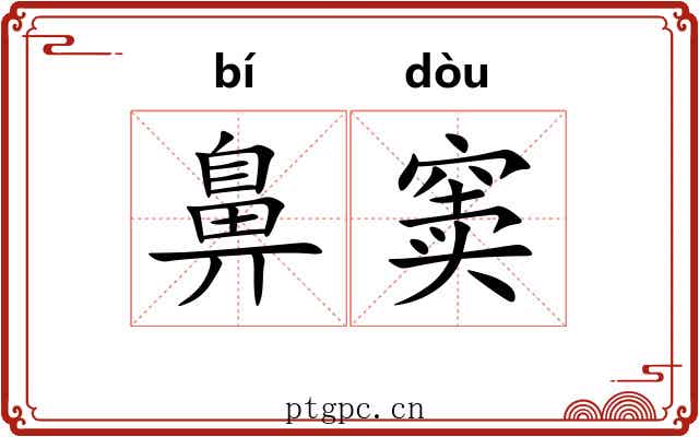 鼻窦