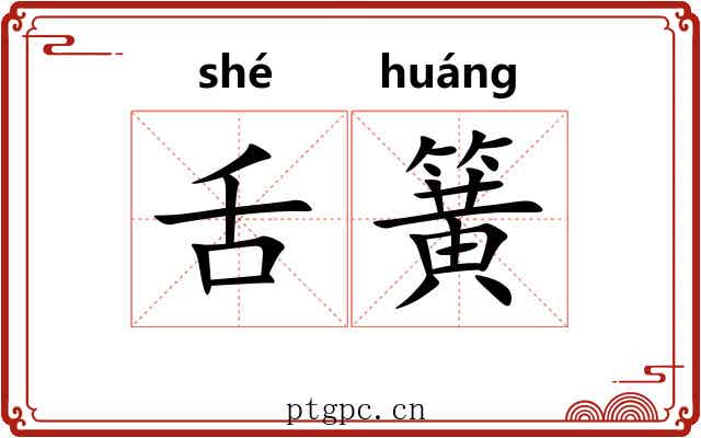 舌簧