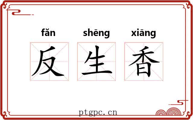 反生香 反生香