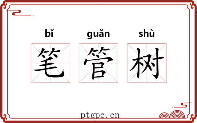 笔管树 笔管树