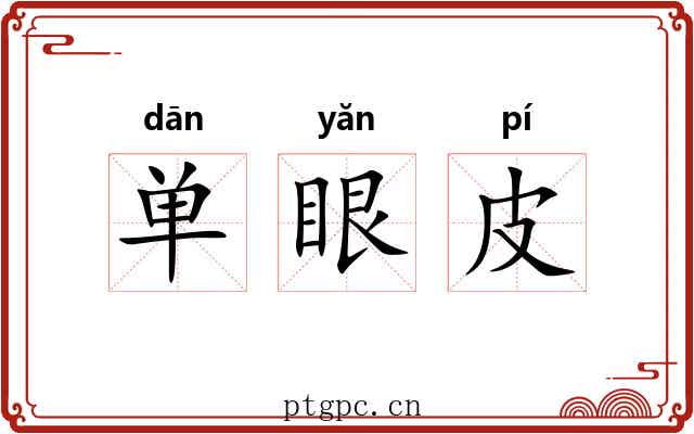 单眼皮 单眼皮