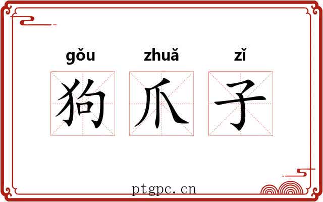 狗爪子 狗爪子