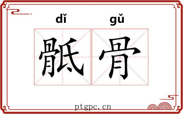骶骨 骶骨