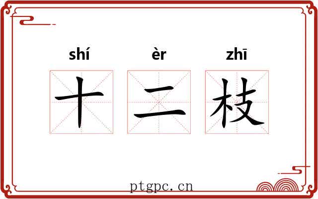 十二枝 十二枝