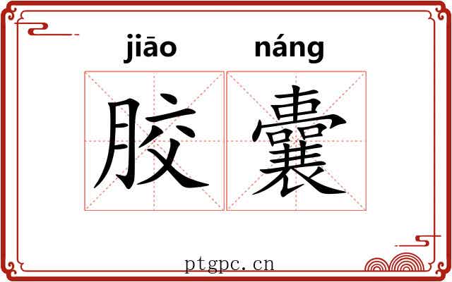 胶囊 胶囊