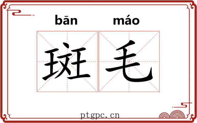 斑毛 斑毛