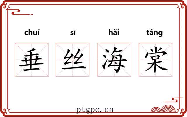 垂丝海棠 垂丝海棠