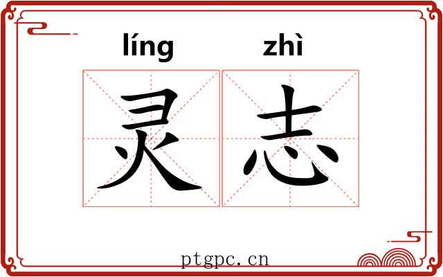 灵志