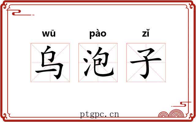 乌泡子 乌泡子