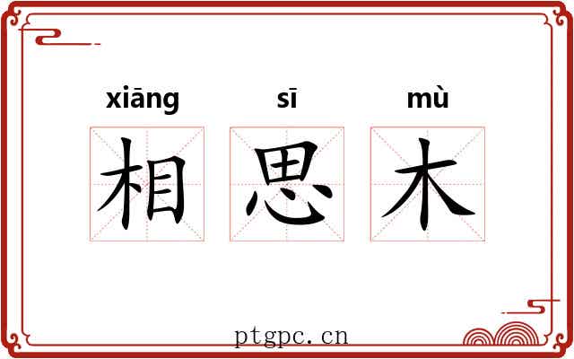 相思木 相思木