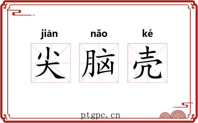 尖脑壳 尖脑壳