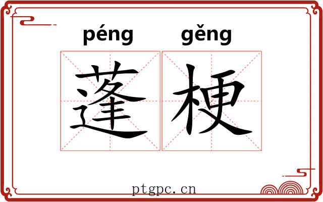 蓬梗 蓬梗