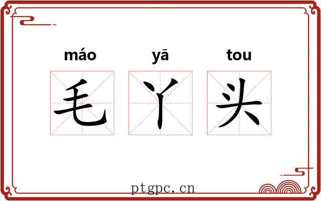 毛丫头 毛丫头