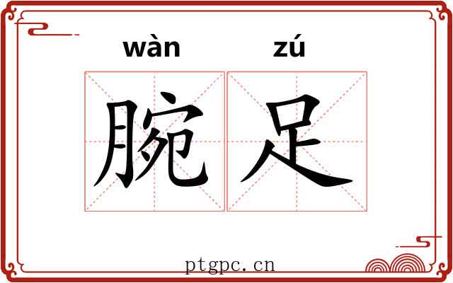 腕足