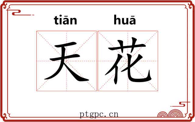 天花 天花