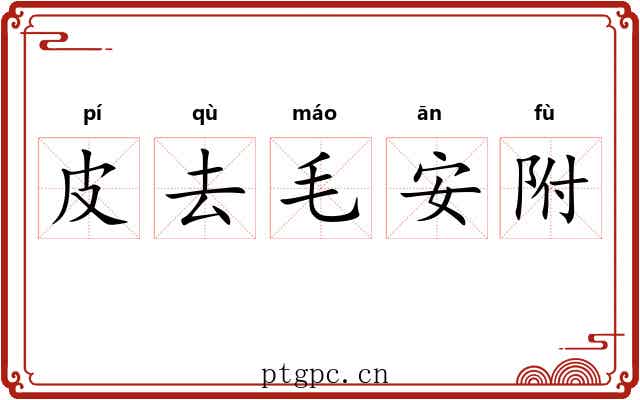 皮去毛安附 皮去毛安附