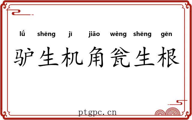 驴生机角瓮生根 驴生机角瓮生根