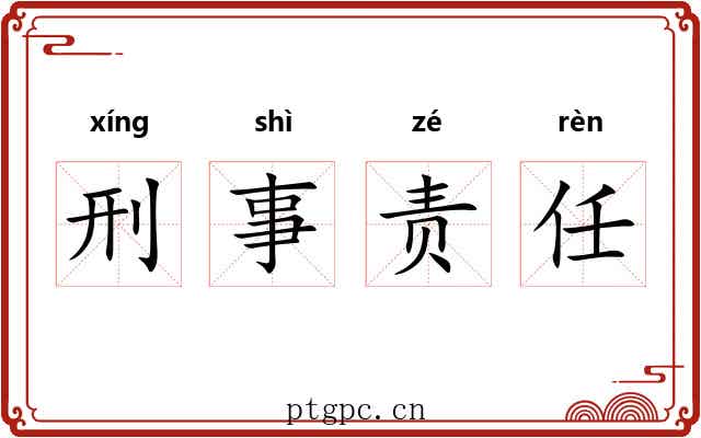 刑事责任 刑事责任