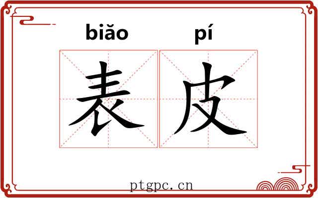 表皮