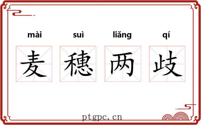 麦穗两歧 麦穗两歧